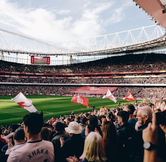 A large football stadium filled with spectators cheering and waving flags. The field is green and well-maintained, and the stands are packed with people. The atmosphere appears vibrant and energetic as people clap and celebrate.